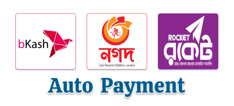 Online Payment